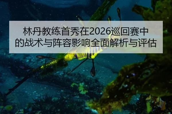 lin-dan-jiao-lian-shou-xiu-zai-xun-hui-sai-zhong-de-zhan-shu-yu-zhen-rong-ying-xiang-quan-mian-jie-xi-yu-ping-gu-2-110.jpg